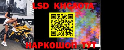 гидра Новодвинск