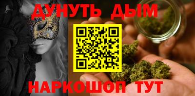 гидра Новодвинск