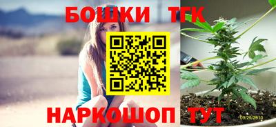 гидра Новодвинск