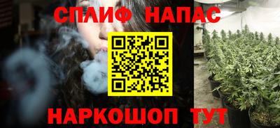 гидра Новодвинск