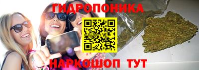 МДМА Новозыбков